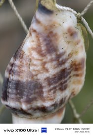 IMG_20250121_104513.jpg