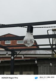 IMG_20250121_111013.jpg