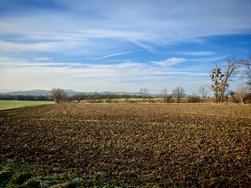 IMG_20250121_135619.jpg