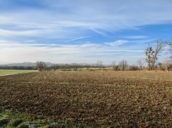 IMG_20250121_135616.jpg