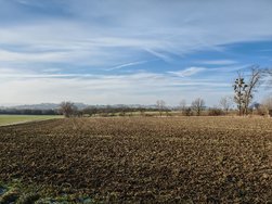 IMG_20250121_135614.jpg