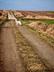 IMG_20250121_140021.jpg