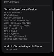 Screenshot_20250121_161038_Settings.jpg