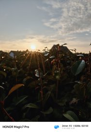IMG_20250121_160548.jpg
