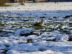 IMG_20250119_140722.jpg