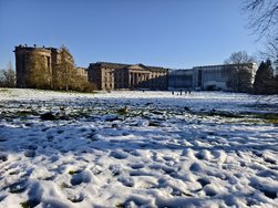 IMG_20250119_140718.jpg