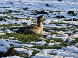 IMG_20250119_140710.jpg