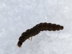 IMG_20250119_140110.jpg