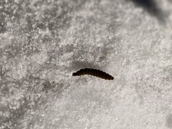 IMG_20250119_140023.jpg
