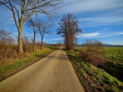IMG_20250121_134712.jpg