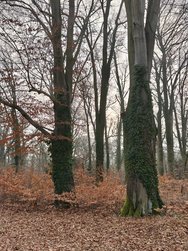 IMG20250122091759.jpg
