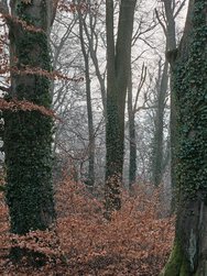 IMG20250122091745.jpg