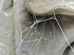 IMG20250122090242.jpg