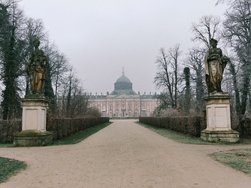 IMG20250122085252.jpg