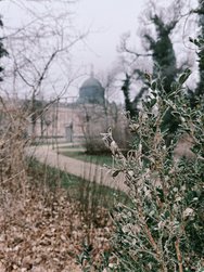 IMG20250122084709.jpg