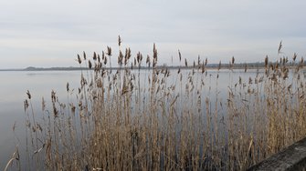 PXL_20250122_112542551.MP.jpg