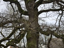 IMG_20250122_145141.jpg
