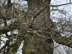 IMG_20250122_145144.jpg