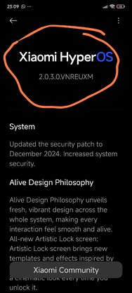 Screenshot_2025-01-22-23-09-41-970_com.android.updater-edit.jpg