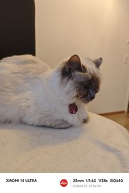 IMG_20250123_075658.jpg