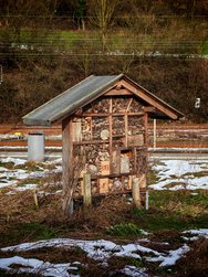 IMG_20250122_120339.jpg