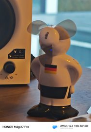 IMG_20250123_084404.jpg