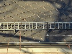IMG_20250120_151254.jpg