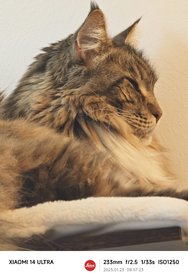 IMG_20250123_085723.jpg