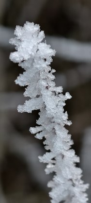 IMG_20250121_154735.jpg