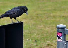 IMG_20250123_123417.jpg