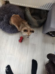 IMG_20250123_094718_Original.jpeg