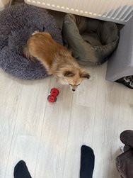IMG_0848.jpeg