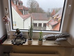 IMG_0842.jpeg