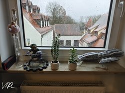IMG_20250123_094304_Original.jpeg