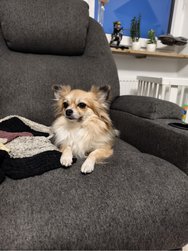 IMG_20250122_171937_Original.jpeg