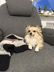 IMG_0800.jpeg