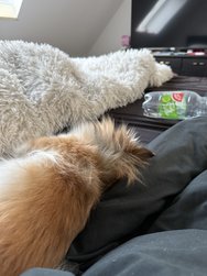 IMG_0748.jpeg