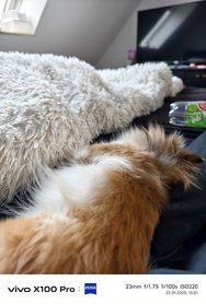 IMG_20250122_150123_Original.jpeg