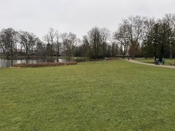 IMG_3431.JPEG