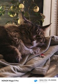IMG_20250124_203248.jpg