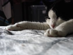 IMG20250125124921.jpg