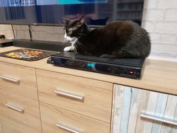 ZTE Blade A73 .jpg