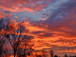 IMG_20250125_075142.jpg