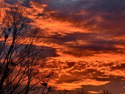 IMG_20250125_075130.jpg