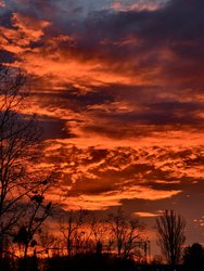 IMG_20250125_075121.jpg