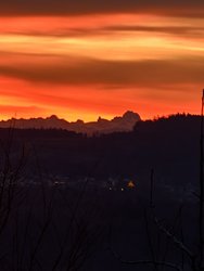 IMG_20250125_073735.jpg