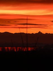 IMG_20250125_073728.jpg