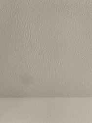 IMG_20250126_143952.jpg