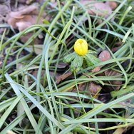 IMG_20250126_153446.jpg