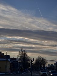 IMG_20250114_085603.jpg